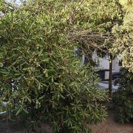 Old Mykonos Bed and Breakfast