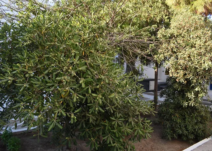 Old Mykonos Отель типа 